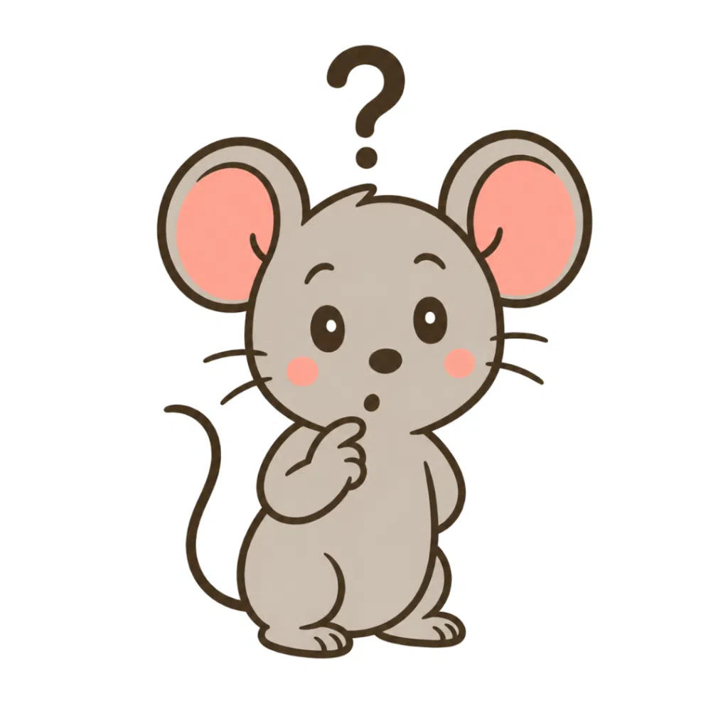 Mimi avec un point d'interrogation - audit de site web